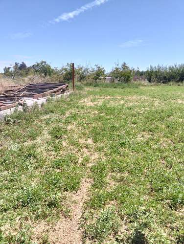 REQUINOA REGIA CASA PARCELA LOS NOGALES EL TRIGAL CHUMACO SEXTA REGION O'HIGGINS