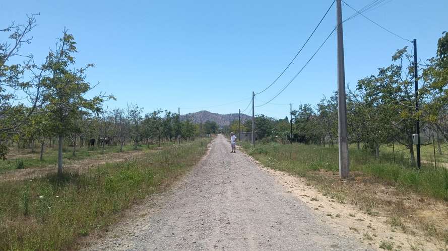 REQUINOA REGIA CASA PARCELA LOS NOGALES EL TRIGAL CHUMACO SEXTA REGION O'HIGGINS
