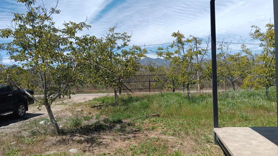 REQUINOA REGIA CASA PARCELA LOS NOGALES EL TRIGAL CHUMACO SEXTA REGION O'HIGGINS