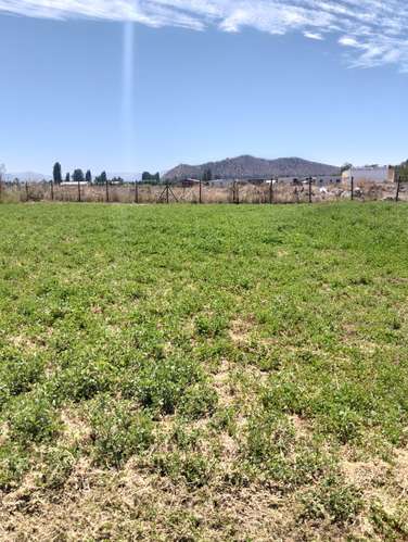 REQUINOA REGIA CASA PARCELA LOS NOGALES EL TRIGAL CHUMACO SEXTA REGION O'HIGGINS