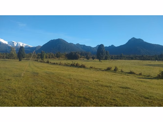 Oportunidad!! Parcela 10.000 m2 frente al Lago Chapo - Imagen 8