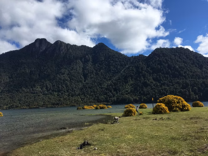 Oportunidad!! Parcela 10.000 m2 frente al Lago Chapo - Imagen 2