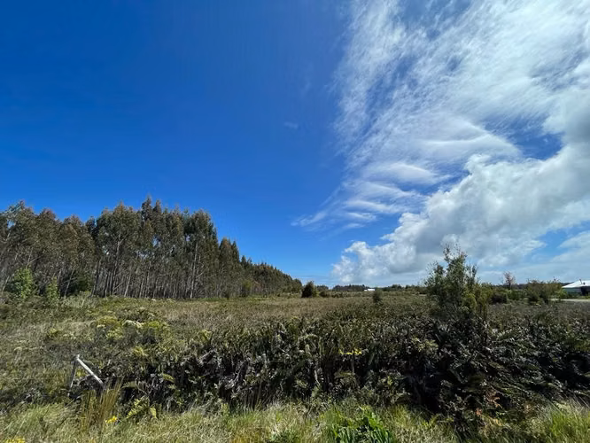 Se venden parcelas a orilla de ruta 5, Ancud