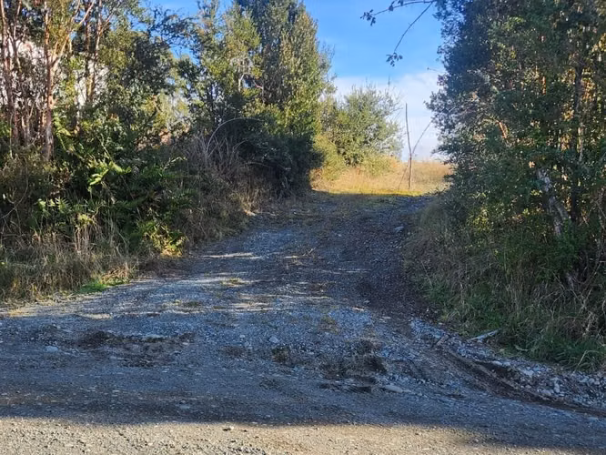 Se vende predio de 20 hectareas en Chiloé - Imagen 4