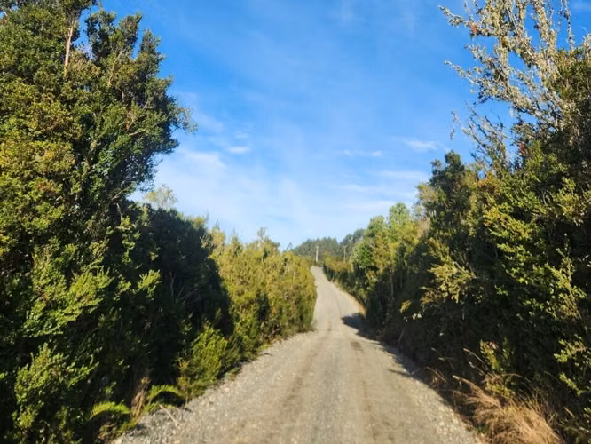 Se vende predio de 20 hectareas en Chiloé - Imagen 2