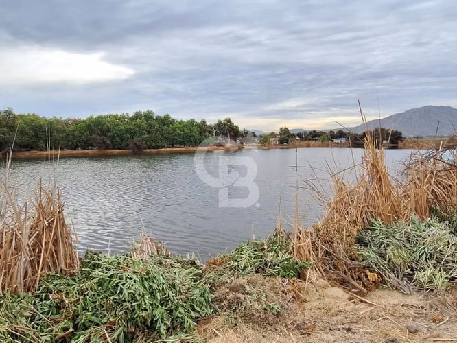 Hermosa Parcela con Vista a Laguna de Batuco.CBG