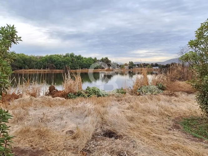 Hermosa Parcela con Vista a Laguna de Batuco.CBG