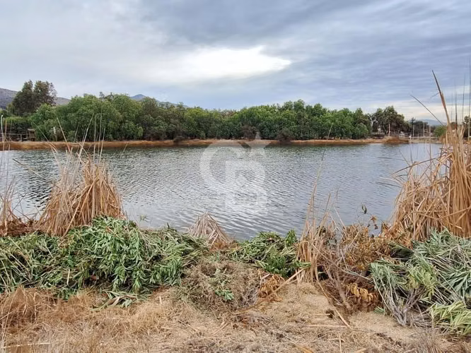 Hermosa Parcela con Vista a Laguna de Batuco.CBG