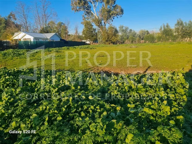 Sitio en venta en Chillán - Imagen 2