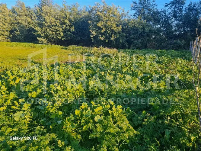 Sitio en venta en Chillán