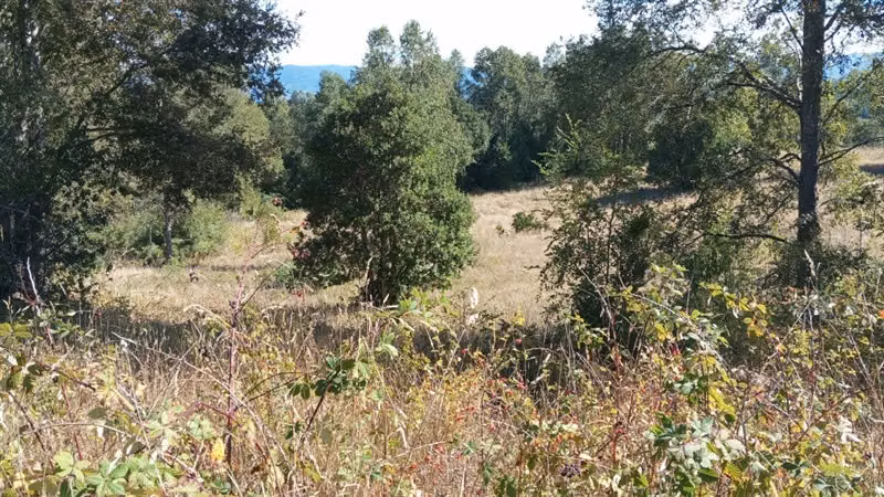 Parcela en venta en Fresia 7.000.000m2