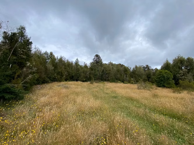 CONSTRUYE TU HOGAR EN EL PARAÍSO - PARCELA EN VENTA EN DALCAHUE, CHILOÉ