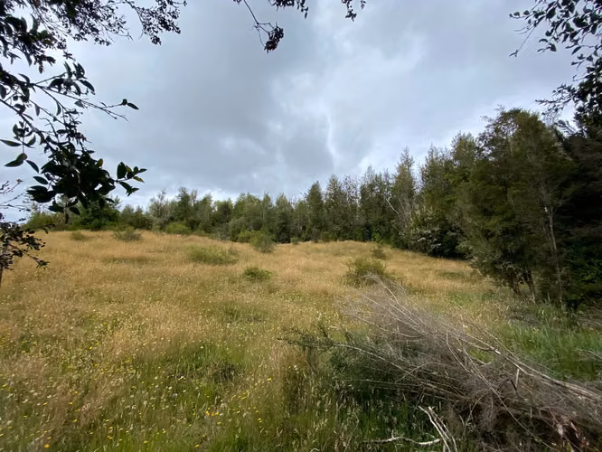 CONSTRUYE TU HOGAR EN EL PARAÍSO - PARCELA EN VENTA EN DALCAHUE, CHILOÉ