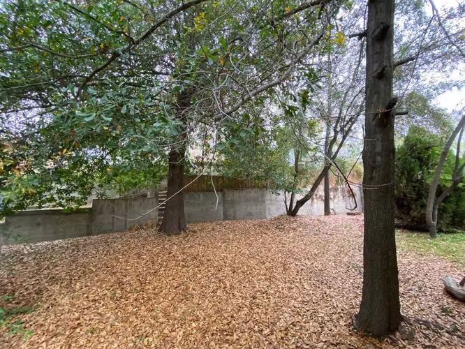 Arriendo casa domo sector El Guindal Machali (177375) - Imagen 15