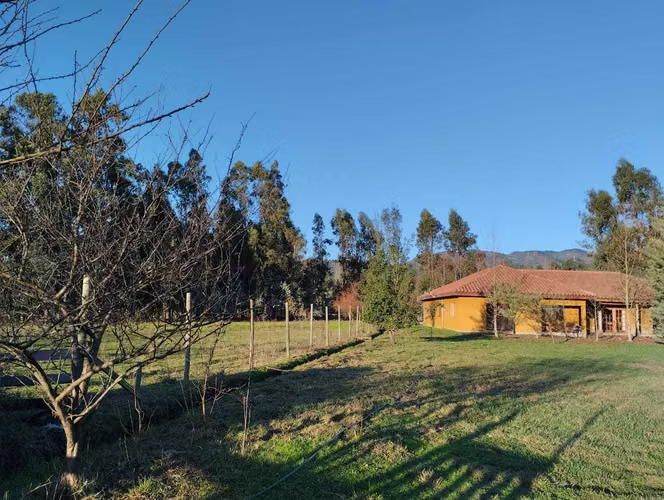 Campo 2.2 ha con casa patronal. Colbun (177385) - Imagen 16