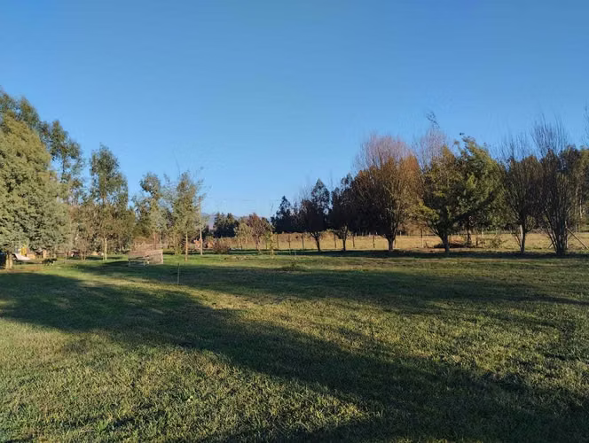 Campo 2.2 ha con casa patronal. Colbun (177385) - Imagen 14