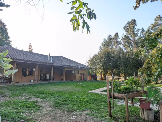 Campo 2.2 ha con casa patronal. Colbun (177385) - Imagen 18