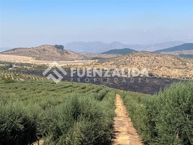 Agrícola en venta en Pencahue, Talca, Región del Maule