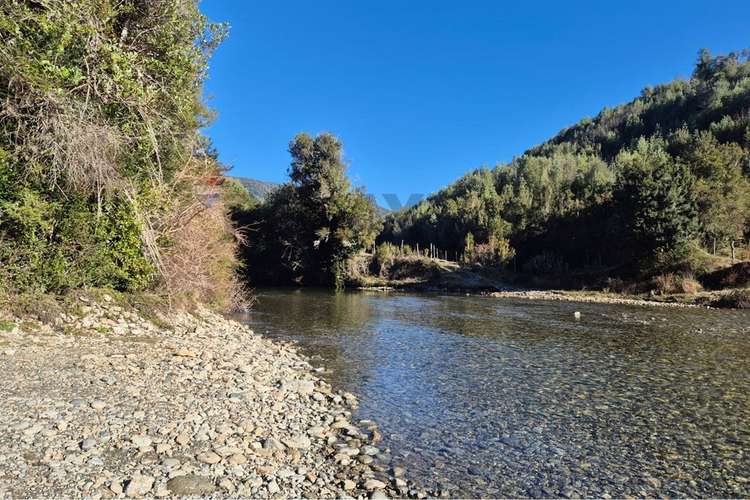 Campo-bosque nativo 253 hectareas chiloe