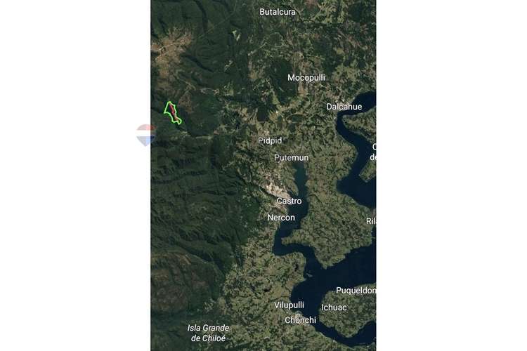 Campo-bosque nativo 253 hectareas chiloe