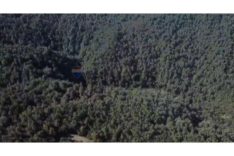 Campo-bosque nativo 253 hectareas chiloe