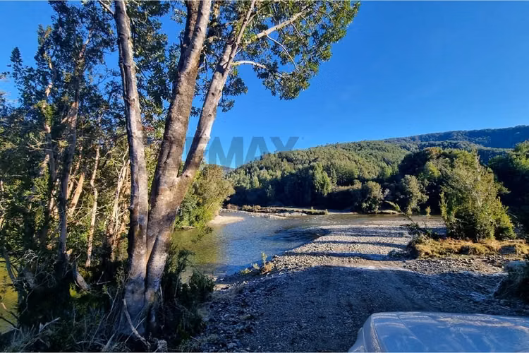 Campo-bosque nativo 253 hectareas chiloe