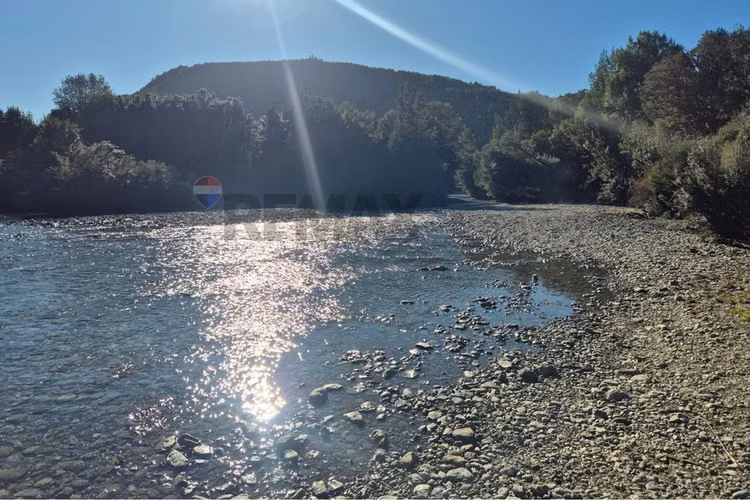 Campo-bosque nativo 253 hectareas chiloe