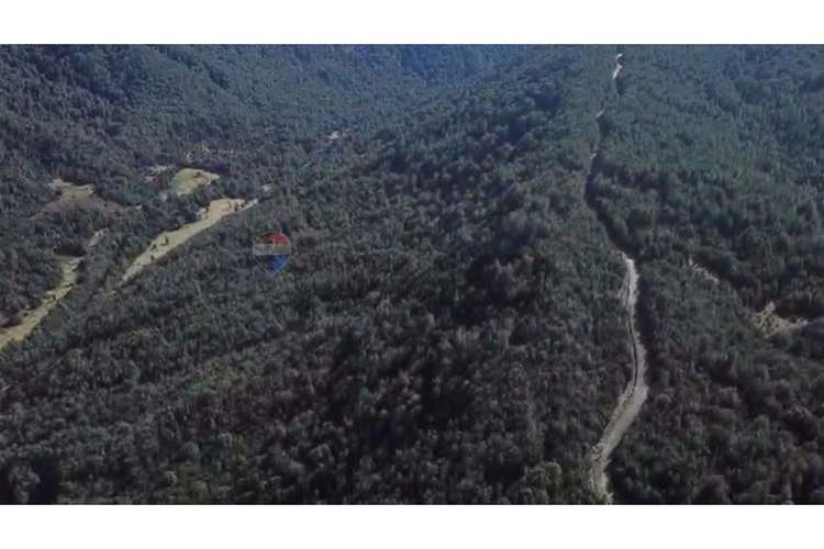 Campo-bosque nativo 253 hectareas chiloe