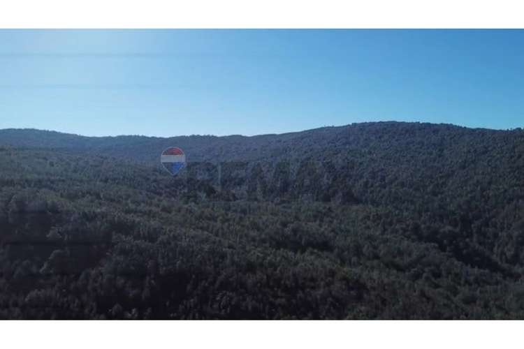 Campo-bosque nativo 253 hectareas chiloe