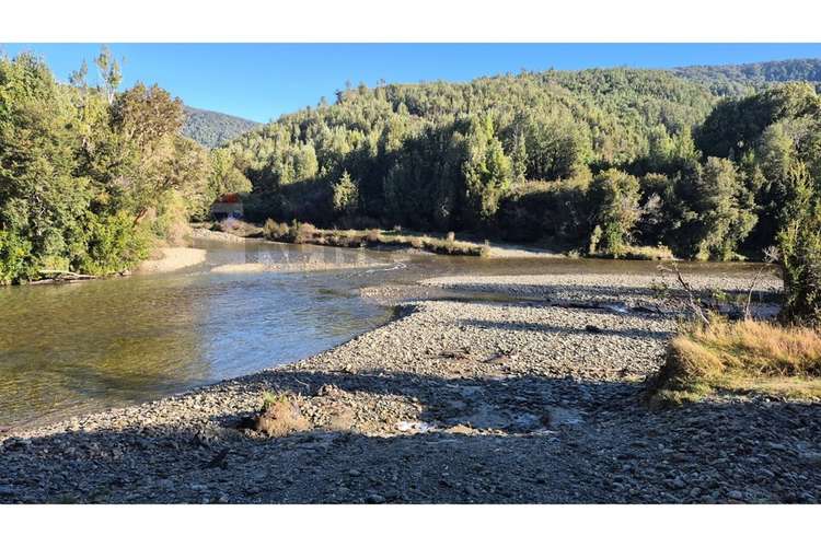 Campo-bosque nativo 253 hectareas chiloe