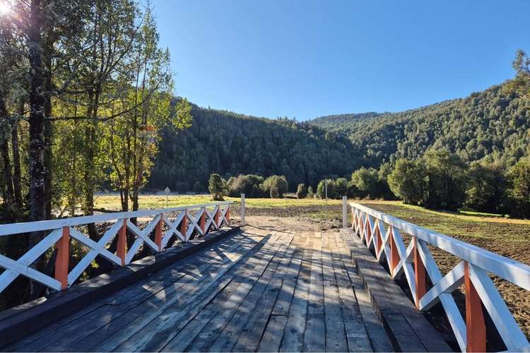Campo-bosque nativo 253 hectareas chiloe