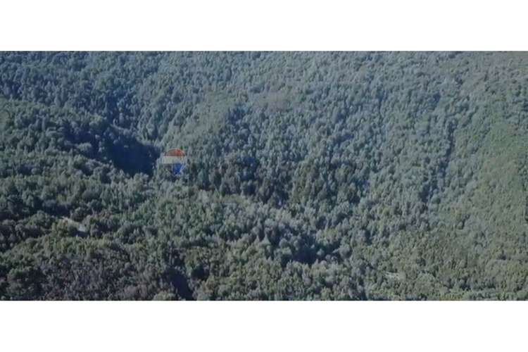 Campo-bosque nativo 253 hectareas chiloe