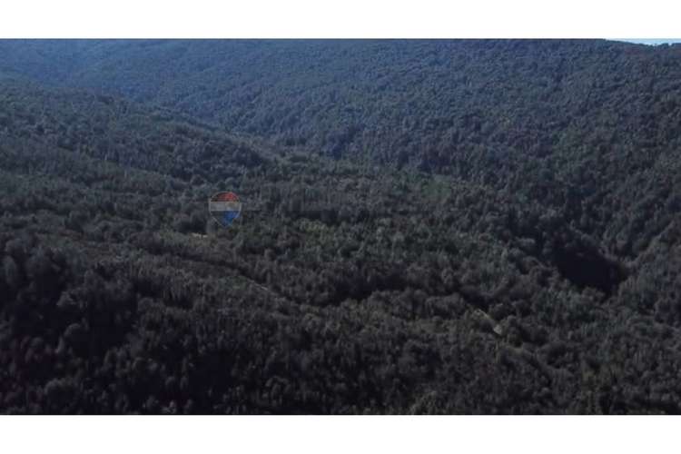 Campo-bosque nativo 253 hectareas chiloe