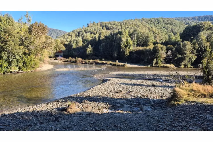 Campo-bosque nativo 253 hectareas chiloe