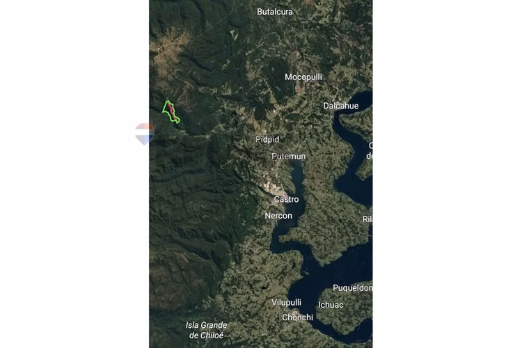 Campo-bosque nativo 253 hectareas chiloe