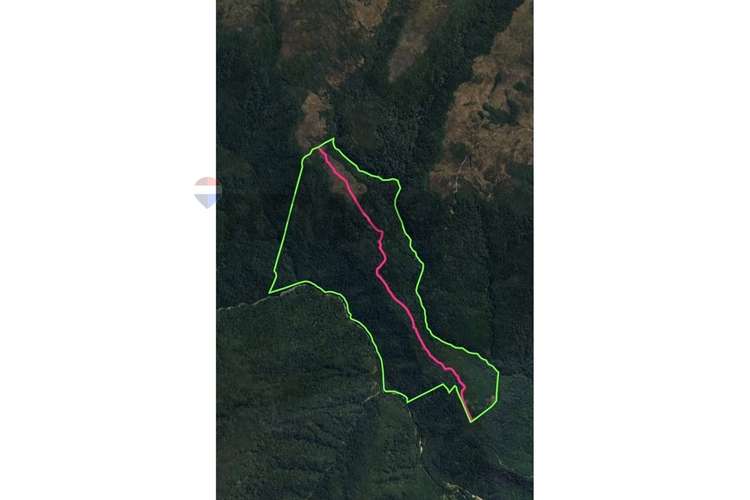 Campo-bosque nativo 253 hectareas chiloe