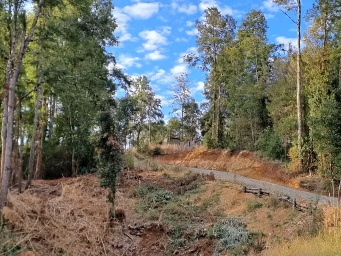 PARCELA DE 5138 M2 EN PICHIHUAPE ALTO VALDIVIA