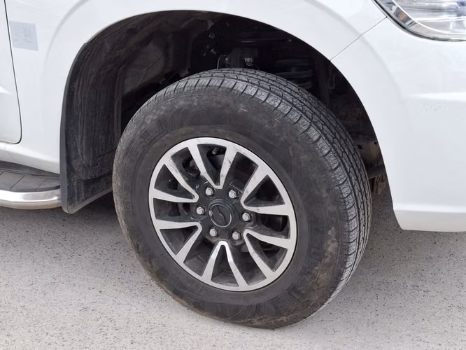 ZX AUTO TERRALORD 2025