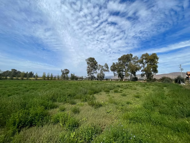 Campo con derechos de agua y tranque