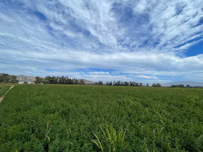 Campo con derechos de agua y tranque