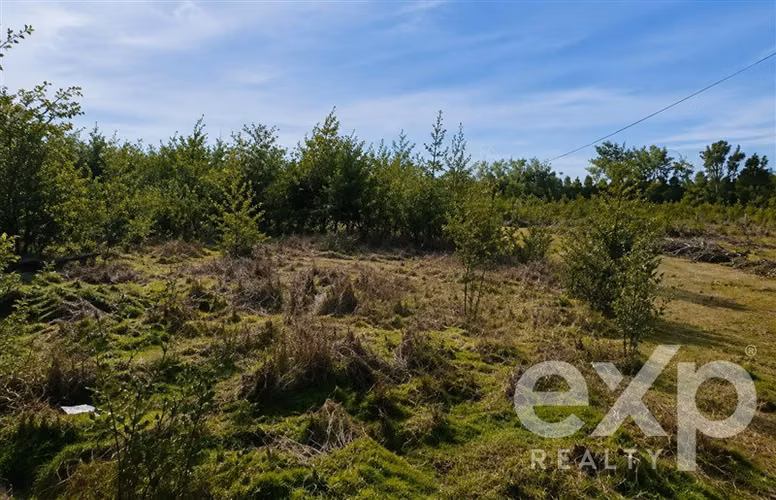 Parcela 5.000 m2 en camino Larqui Chillán con Rol Propio