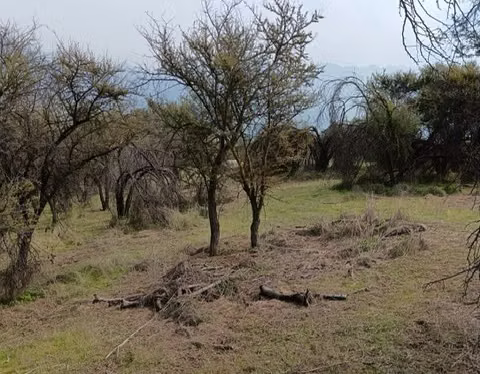 Vende parcela Reserva de Ocoa, hermosa vista ¡ OFE