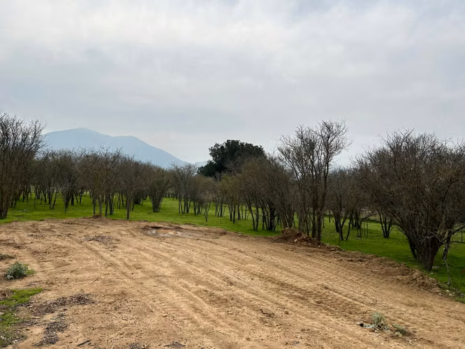 excelente ubicación, terreno plano, con gran plusv