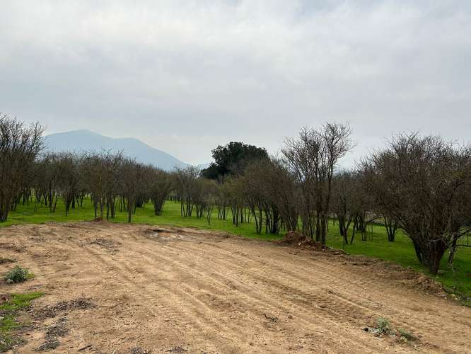 excelente ubicación, terreno plano, con gran plusv