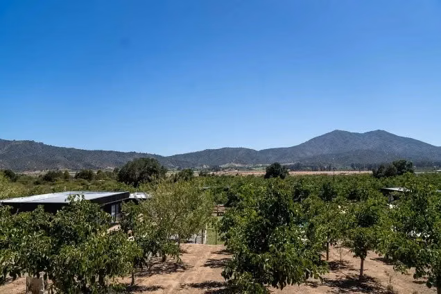 se vende centro vacacional con 350 nogales en prod