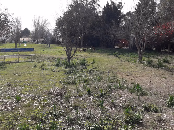 VENTA PARCELA 5600MTS Isla De Maipo