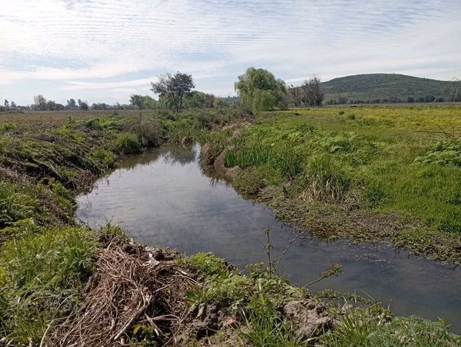 Arriendo agricola en Villa Alegre, septima región.