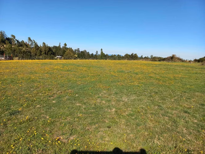 Terreno a orilla de camino! (177508)