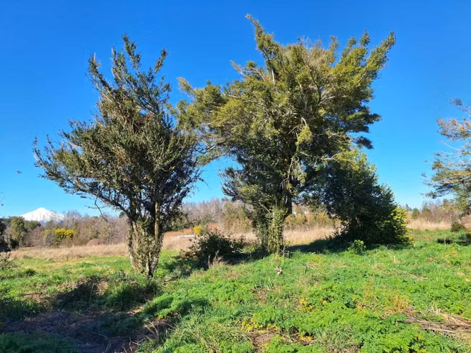 Terreno a orilla de camino! (177508)