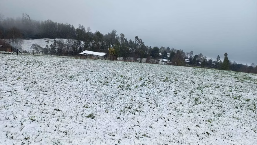 Terreno a orilla de camino! (177508)